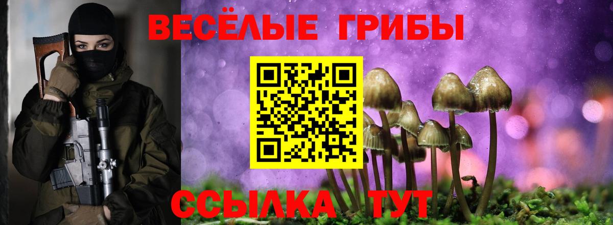 Псилоцибиновые грибы прущие грибы  Вход с VPN  Шадринск 